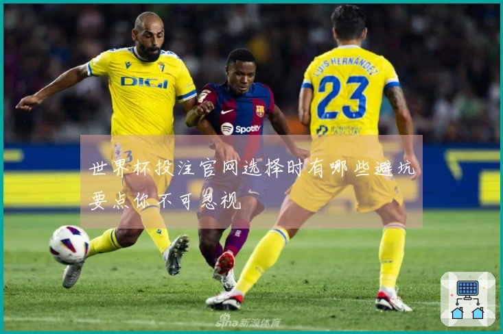 世界杯投注官网选择时有哪些避坑要点你不可忽视