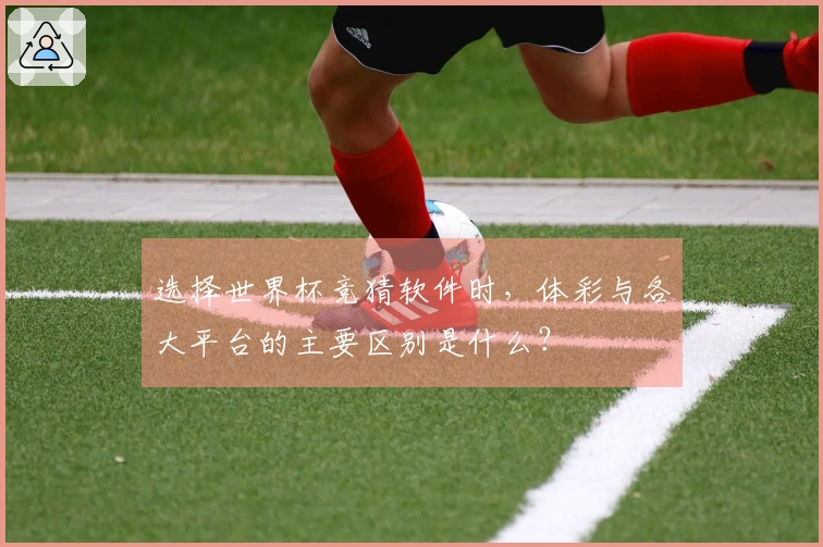 选择世界杯竞猜软件时，体彩与各大平台的主要区别是什么？