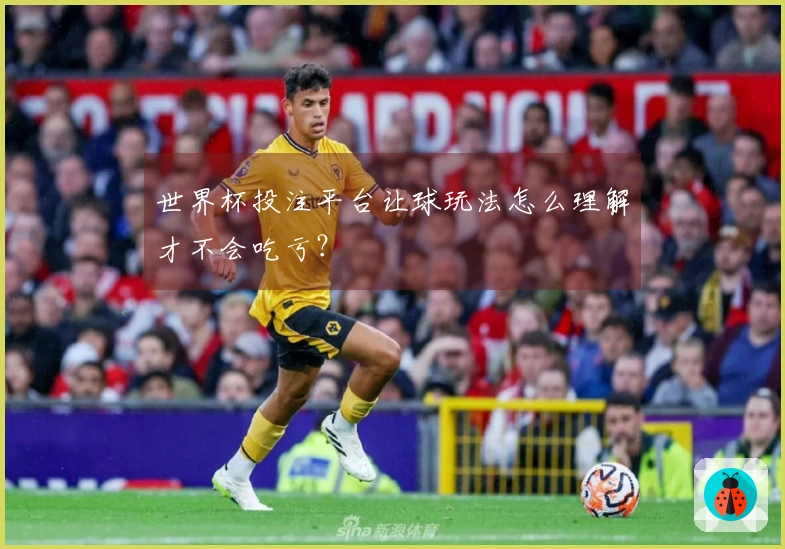 世界杯投注平台让球玩法怎么理解才不会吃亏？
