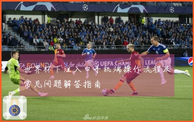 世界杯下注入口手机端操作流程及常见问题解答指南