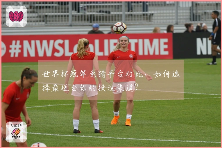 世界杯冠军竞猜平台对比，如何选择最适合你的投注渠道？