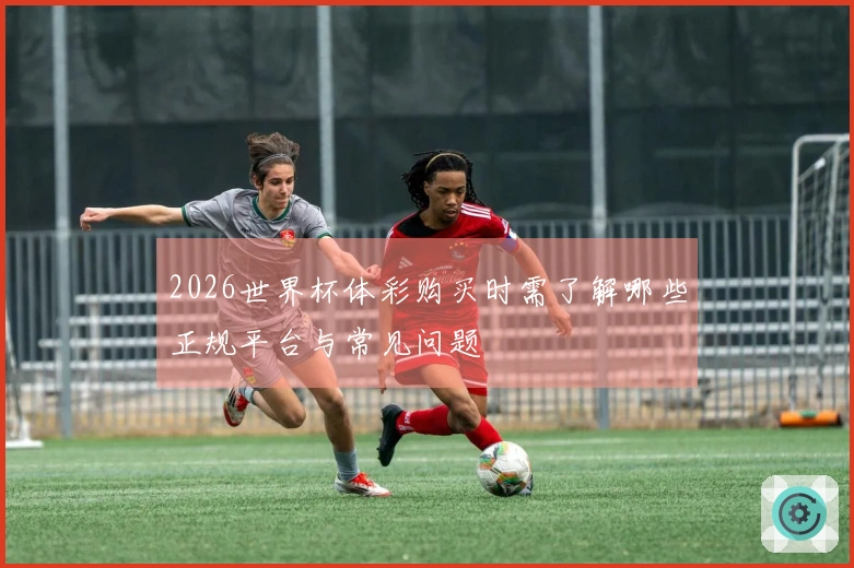 2026世界杯体彩购买时需了解哪些正规平台与常见问题