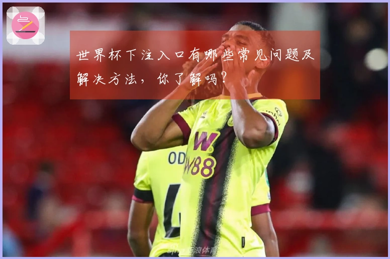 世界杯下注入口有哪些常见问题及解决方法，你了解吗？
