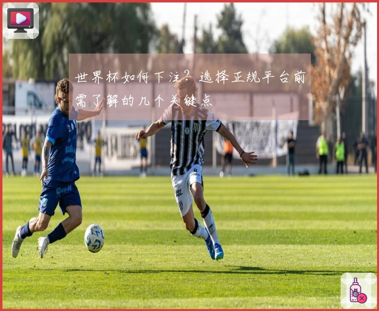 世界杯如何下注？选择正规平台前需了解的几个关键点