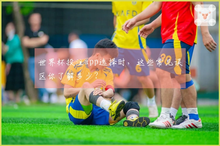 世界杯投注app选择时，这些常见误区你了解多少？