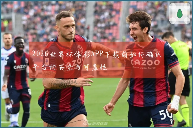 2026世界杯体彩APP下载前如何确认平台的安全与可靠性