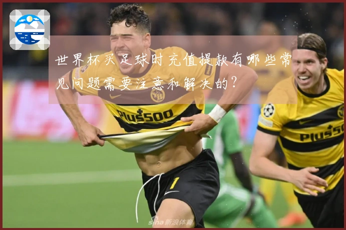 世界杯买足球时充值提款有哪些常见问题需要注意和解决的？