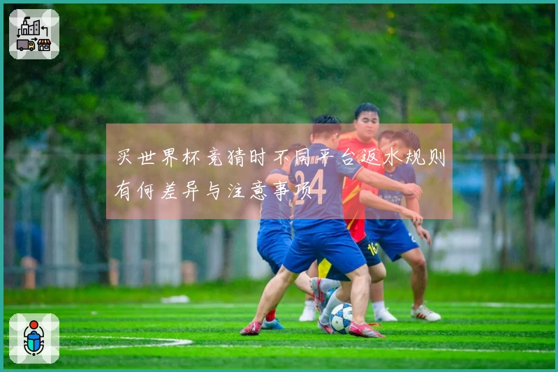 买世界杯竞猜时不同平台返水规则有何差异与注意事项