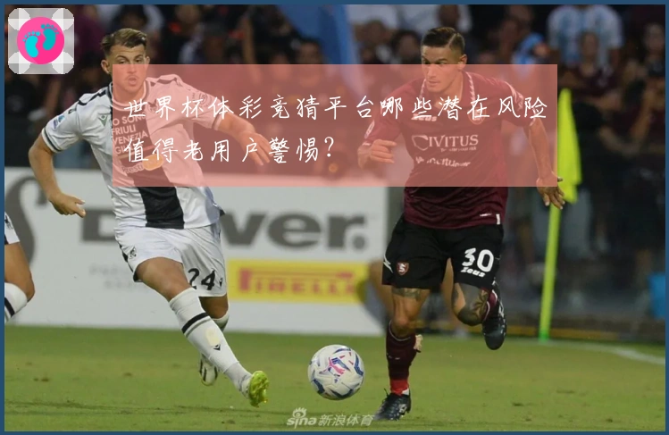 世界杯体彩竞猜平台哪些潜在风险值得老用户警惕？