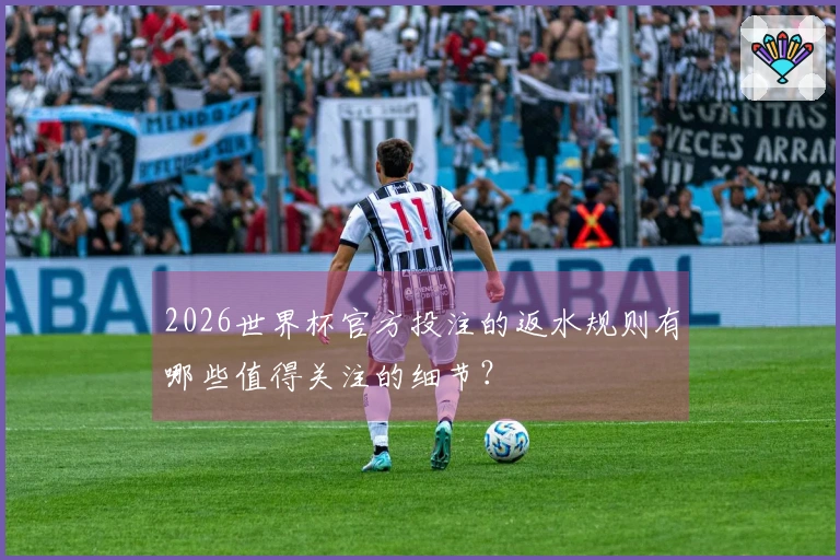 2026世界杯官方投注的返水规则有哪些值得关注的细节?