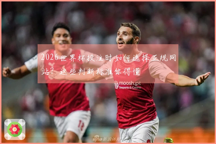 2026世界杯投注时如何选择正规网站？这些判断标准你得懂