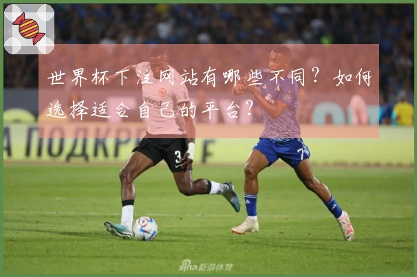 世界杯下注网站有哪些不同？如何选择适合自己的平台？