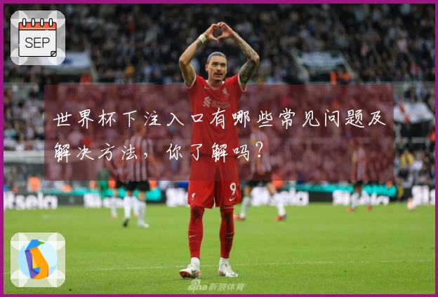 世界杯下注入口有哪些常见问题及解决方法，你了解吗？