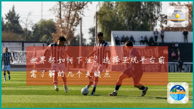 世界杯如何下注？选择正规平台前需了解的几个关键点