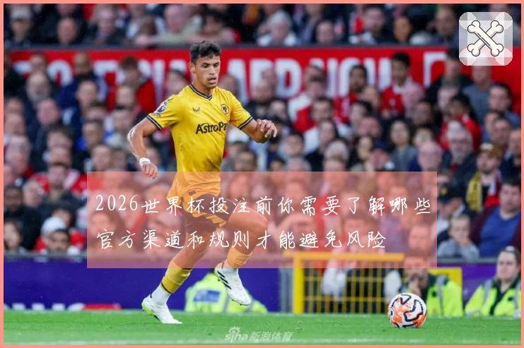 2026世界杯投注前你需要了解哪些官方渠道和规则才能避免风险