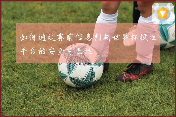 如何通过赛前信息判断世界杯投注平台的安全可靠性