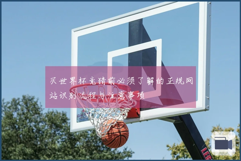 买世界杯竞猜前必须了解的正规网站识别流程与注意事项