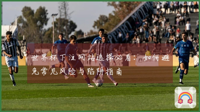 世界杯下注网站选择必看：如何避免常见风险与陷阱指南