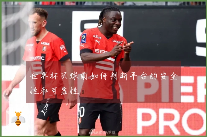 世界杯买球前如何判断平台的安全性和可靠性