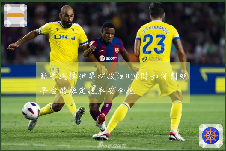 新手选择世界杯投注app时如何判断平台的稳定性和安全性