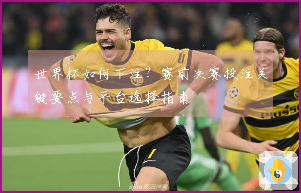 世界杯如何下注？赛前决赛投注关键要点与平台选择指南