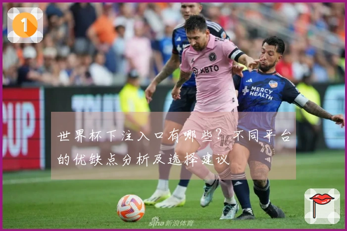 世界杯下注入口有哪些？不同平台的优缺点分析及选择建议