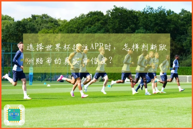 选择世界杯投注APP时，怎样判断欧洲赔率的真实可信度？