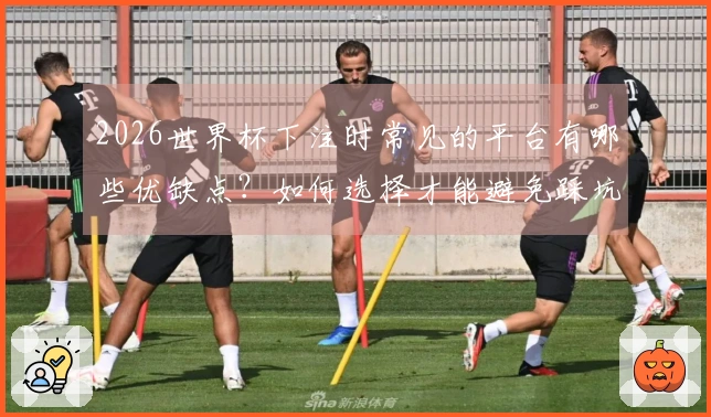 2026世界杯下注时常见的平台有哪些优缺点?如何选择才能避免踩坑?